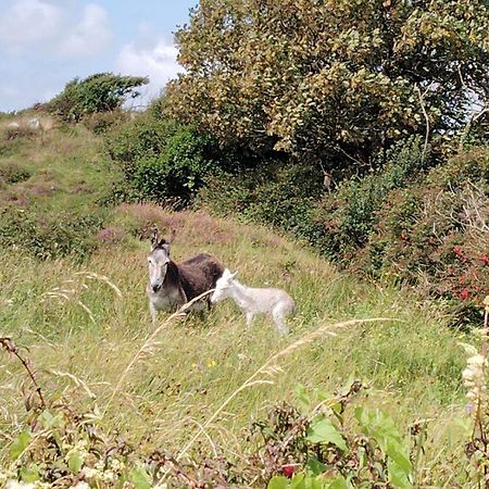 Ballyconneely House Galway Buitenkant foto
