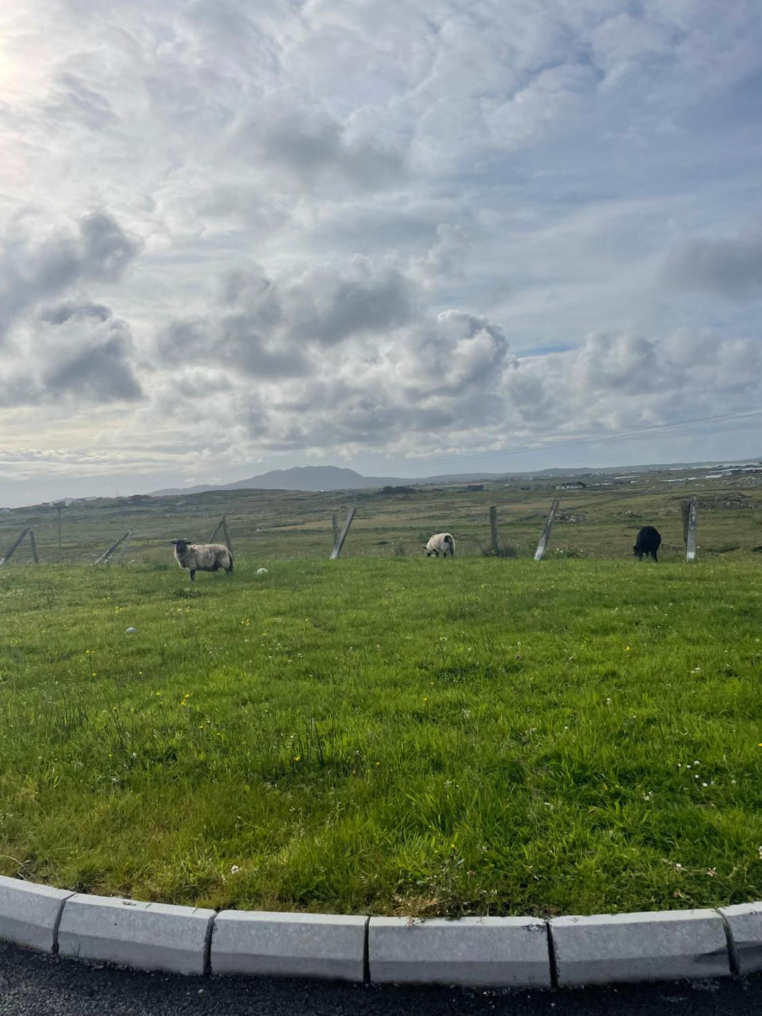 Ballyconneely House Galway Buitenkant foto
